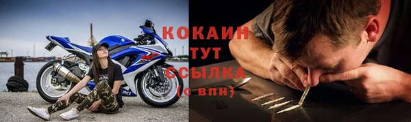 индика Армянск