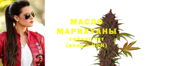 индика Армянск