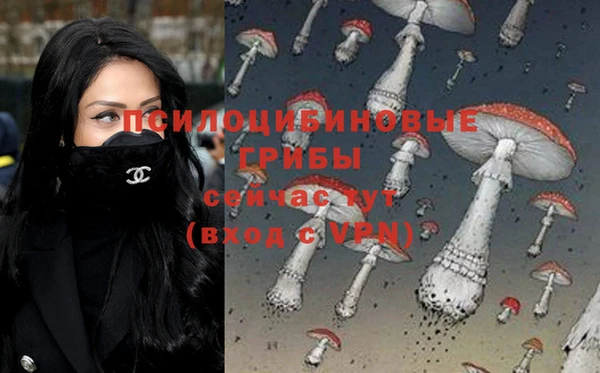 индика Армянск