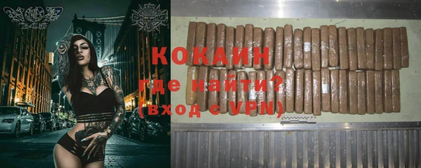 индика Армянск