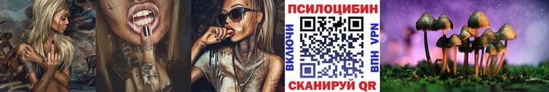 Псилоцибиновые грибы Psilocybine cubensis  Арск 